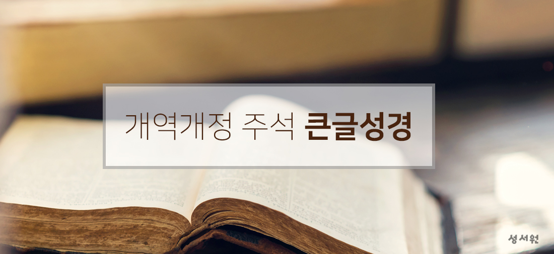 개역개정 주석성경 | 큰글성경